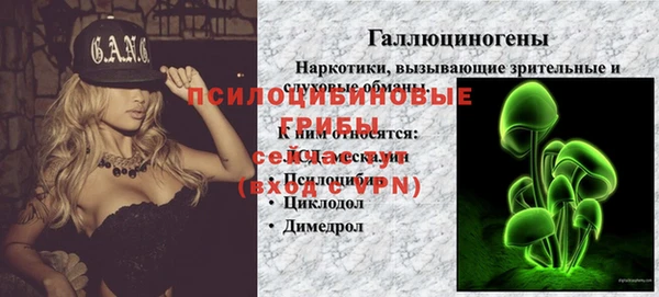 амф Белокуриха