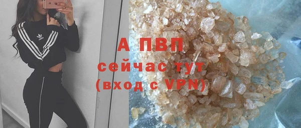 амф Белокуриха