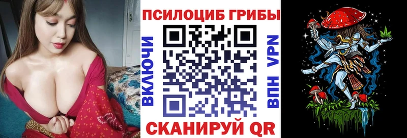 Псилоцибиновые грибы Cubensis  даркнет сайт  Высоковск 
